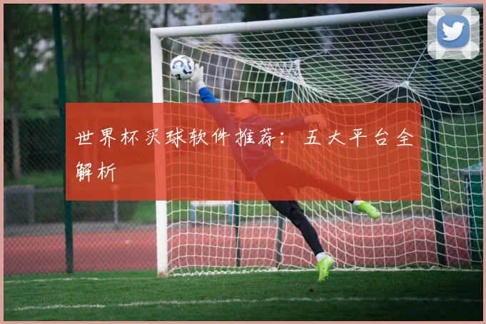 世界杯买球软件推荐:五大平台全解析