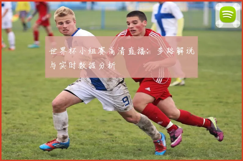 世界杯小组赛高清直播:多路解说与实时数据分析