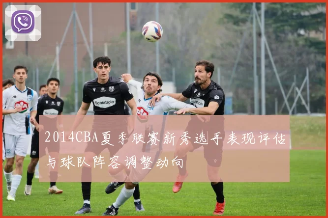 2014CBA夏季联赛新秀选手表现评估与球队阵容调整动向