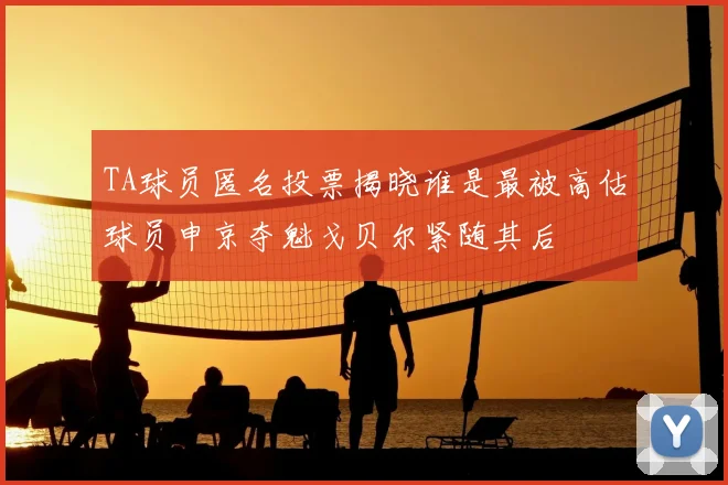 TA球员匿名投票揭晓谁是最被高估球员申京夺魁戈贝尔紧随其后