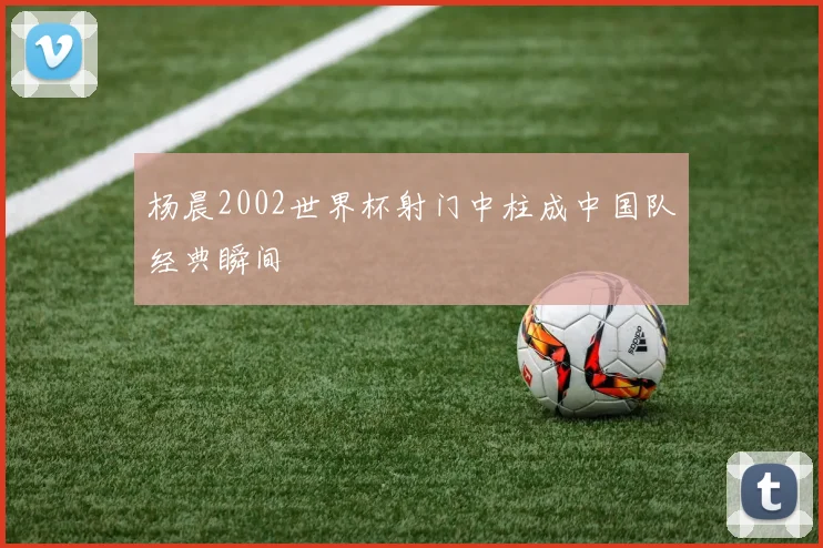 杨晨2002世界杯射门中柱成中国队经典瞬间