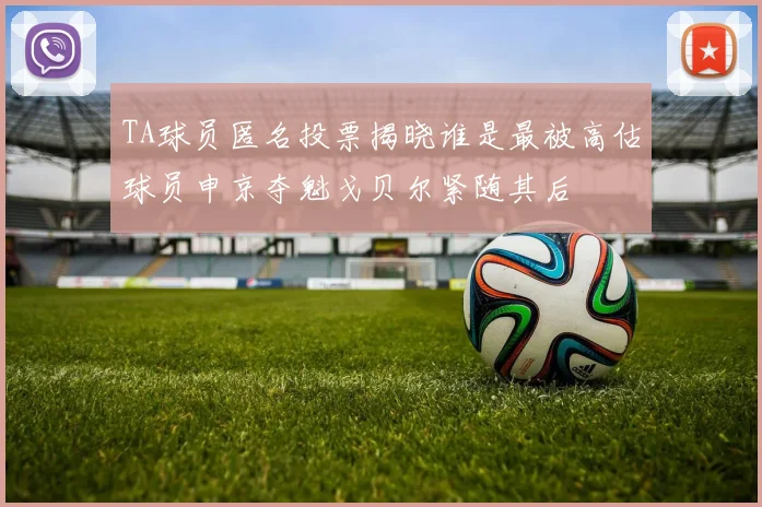 TA球员匿名投票揭晓谁是最被高估球员申京夺魁戈贝尔紧随其后