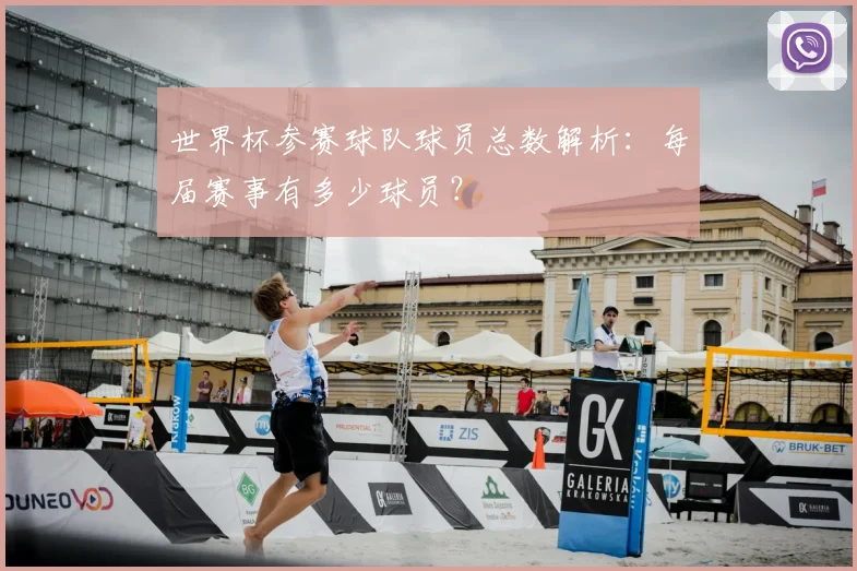世界杯参赛球队球员总数解析:每届赛事有多少球员?