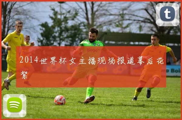 2014世界杯女主播现场报道幕后花絮