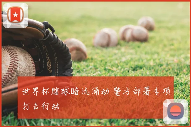 世界杯赌球暗流涌动 警方部署专项打击行动