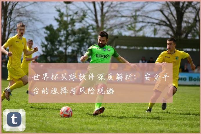 世界杯买球软件深度解析：安全平台的选择与风险规避