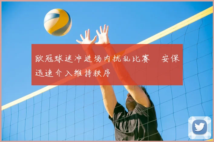 欧冠球迷冲进场内扰乱比赛　安保迅速介入维持秩序