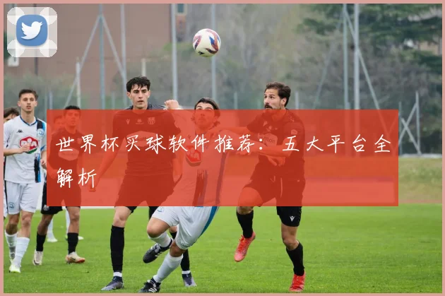 世界杯买球软件推荐:五大平台全解析