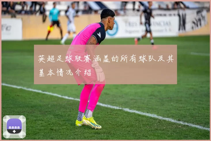 英超足球联赛涵盖的所有球队及其基本情况介绍